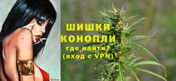 ECSTASY Горняк