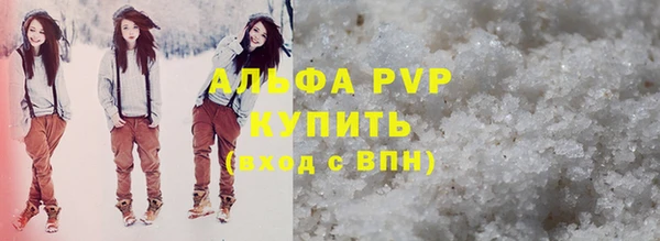 ПСИЛОЦИБИНОВЫЕ ГРИБЫ Вязники