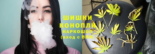 ешки Вязьма