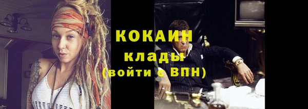 ECSTASY Горняк