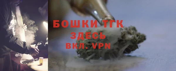 ПСИЛОЦИБИНОВЫЕ ГРИБЫ Вязники