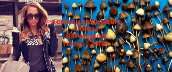 первитин Володарск