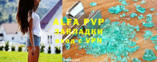 ПСИЛОЦИБИНОВЫЕ ГРИБЫ Вязники